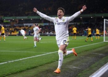 ليدز يقلب تأخره بهدفين إلى فوز مثير على وولفرهامبتون في بريميرليج