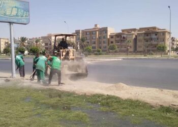 رئيس جهاز تنمية مدينه العاشر من رمضان لأدارة النظافة والتجميل بمتابعة شركات النظافة العاملة بالمدينة .