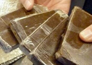 القبض على عاطل بحوزته 60 طربة حشيش بسوهاج الجديد