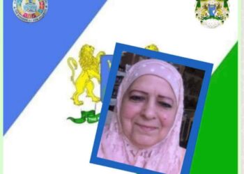 وزارة التنمية المستدامة وهيئة حقوق الانسان》