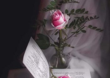 مازلت أبحث عن الجمال فلم أجده