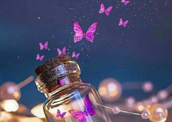 اقدركم ماخوذة من افوهكم