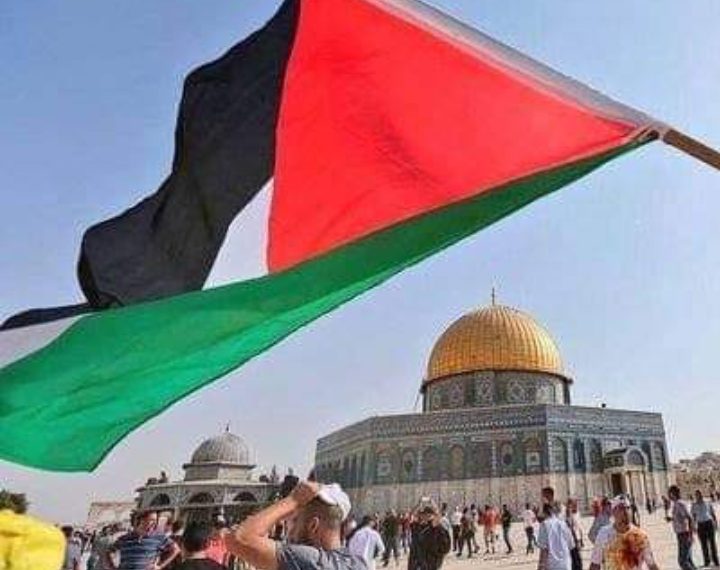 ما يحدث في فلسطين تنفطر له القلوب ألم وخوفاً….