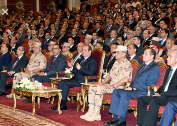 معالجة التحديات والتمهيد للتنمية المستدامة