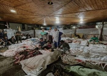 طعنة غدر تصيب الإنسانية