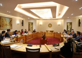 فيتنام – حققت المشاورات السياسية في مصر العديد من النتائج المهمة